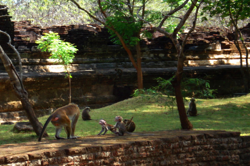 Sri Lanka, Polonnaruwa